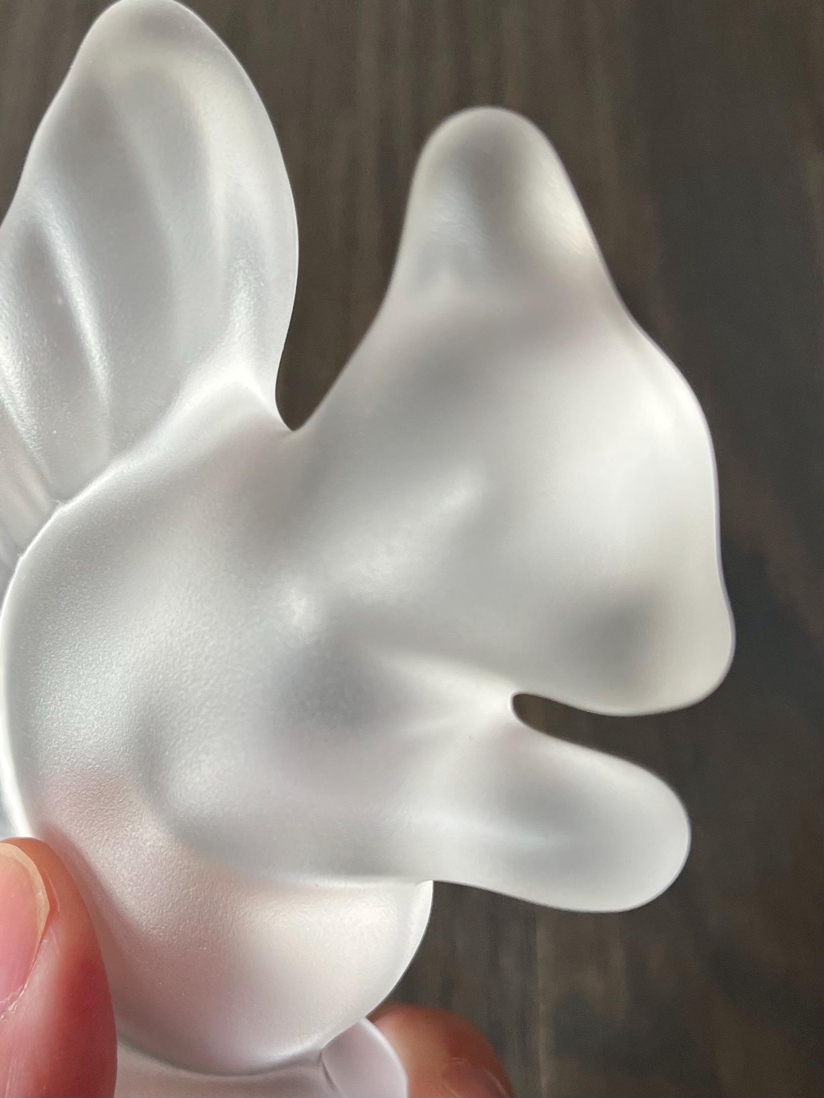 Cristal De Sevres Frosted Crystal Squirrel - Made in France 4