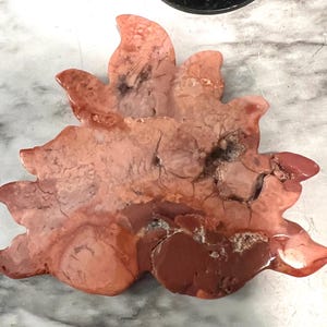 Pink Flower Agate 9 Tail Fox