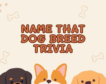犬種クイズ