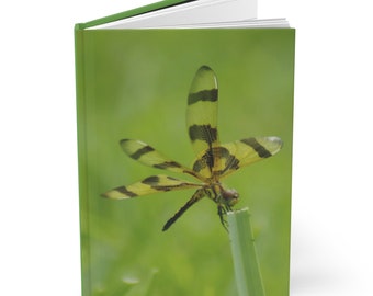 Libelle Hardcover Notizbuch | Matte Dairy | Insekt Journal | Fliegender Drache Personal Notizbuch