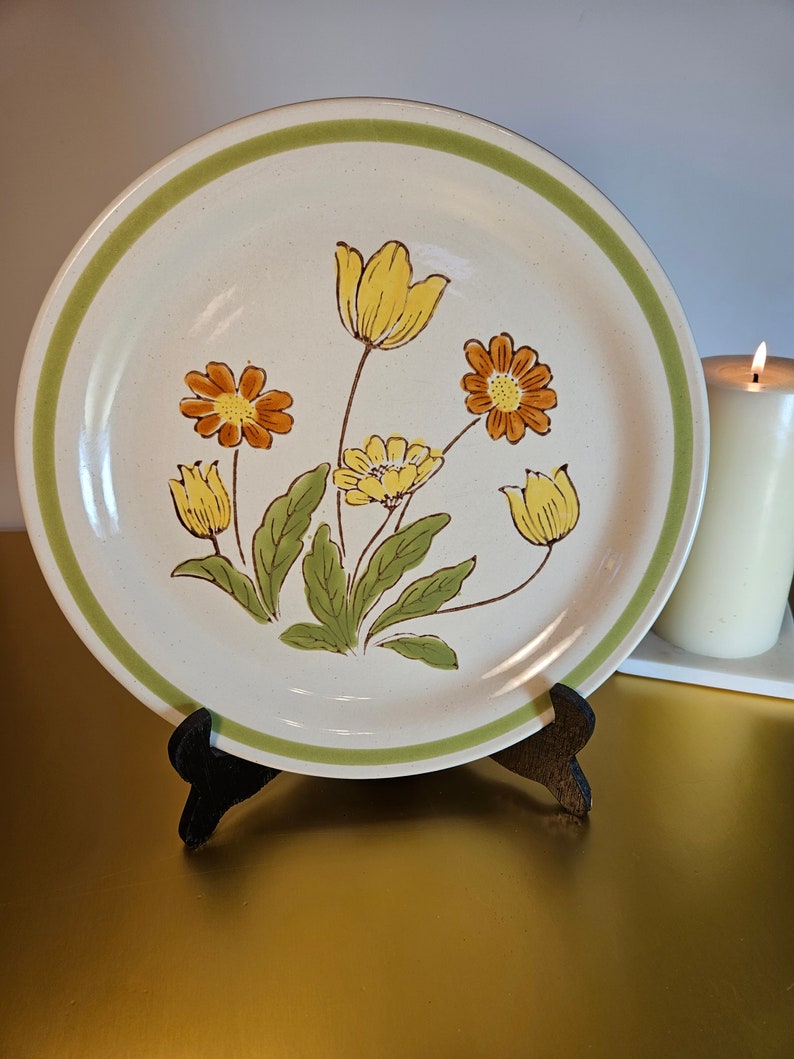 Vintage Country Casuals Stoneware Sunnyvale , Japanese Dinnerware