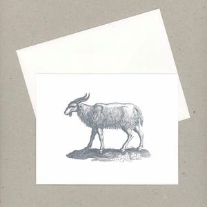 May include: A black and white illustration of a goat on a greeting card. The goat has large curved horns and shaggy fur. A white envelope is behind the card. The card and envelope are on a gray surface.