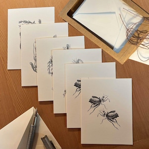 May include: A set of six blank greeting cards with black and white illustrations of insects and plants. The cards are stacked on a wooden surface.