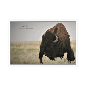 Defiant | Antelope Island State Park | Utah | Wall Art Poster