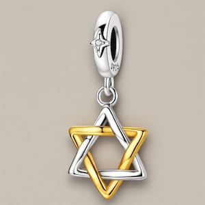 Puede incluir: Un charm de plata con un colgante de Estrella de David. El colgante es una combinación de metal plateado y dorado. El charm tiene un acento en forma de estrella con una pequeña piedra transparente. El charm está marcado con "S925".