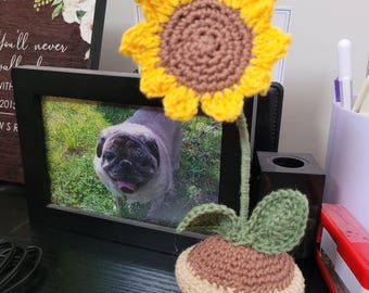 Crochet sunflower in a pot: desk buddy, cute gift, mother's day