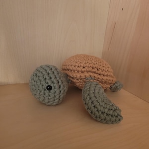 Crochet turtle, hey, dude! you were like, "whoa."