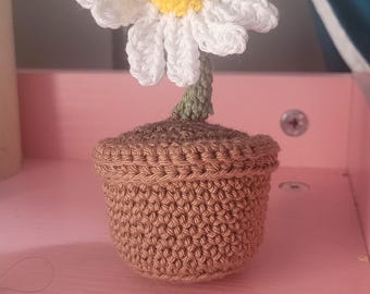 Crochet daisy flower in a pot: desk buddy, cute gift, mother's day