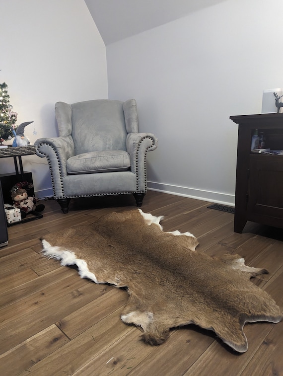 Whitetail Deer Hide Rugs Bryont Blog