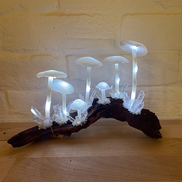 Driftwood Mushroom Light