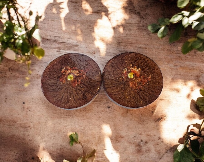 Cocoa ll Clip On Studs