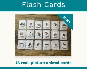 May include: A set of 18 rectangular flash cards featuring realistic animal illustrations with printed labels including Panda, Wolf, Rhinoceros, Tiger, Brown bear, Tortoise, Polar bear, Penguin, Koala, Kangaroo, Snake, Gorilla, Camel, Lion, Elephant, Hippopotamus, Giraffe, and Zebra.
