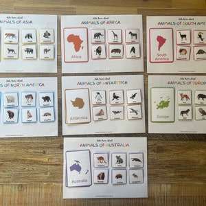 Animaux Cartes Flash Animaux des Continents Matériel d'école à la maison Animaux Cadeau pour les tout-petits Idée cadeau Continents Matériel d'apprentissage préscolaire
