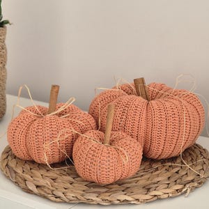 Puede incluir: Cuatro calabazas de ganchillo en diferentes tamaños, color melocotón, sobre un salvamanteles tejido. Las calabazas tienen tallos de canela y detalles de rafia. Una decoración otoñal.