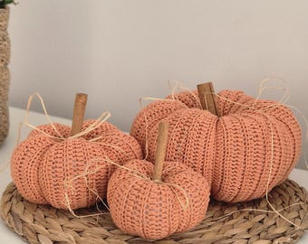 PATRÓN DE GANCHILLO + VIDEO, Patrón de Trío de Calabazas de Ganchillo, Decoración de Otoño DIY, Patrón de Calabaza Fácil, Apto para Principiantes, PDF de Casa Rústica