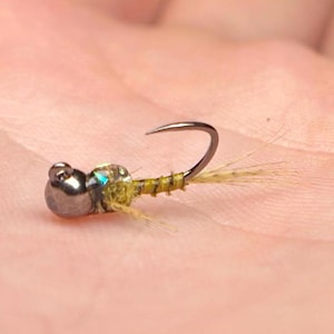 BWO Jig Nymph- 5 Flies