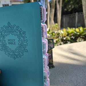 May include: A teal Holy Bible with decorative filigree and the words "Holy Bible" printed on the cover. The book has color-coded tabs with the names of the books of the Bible.
