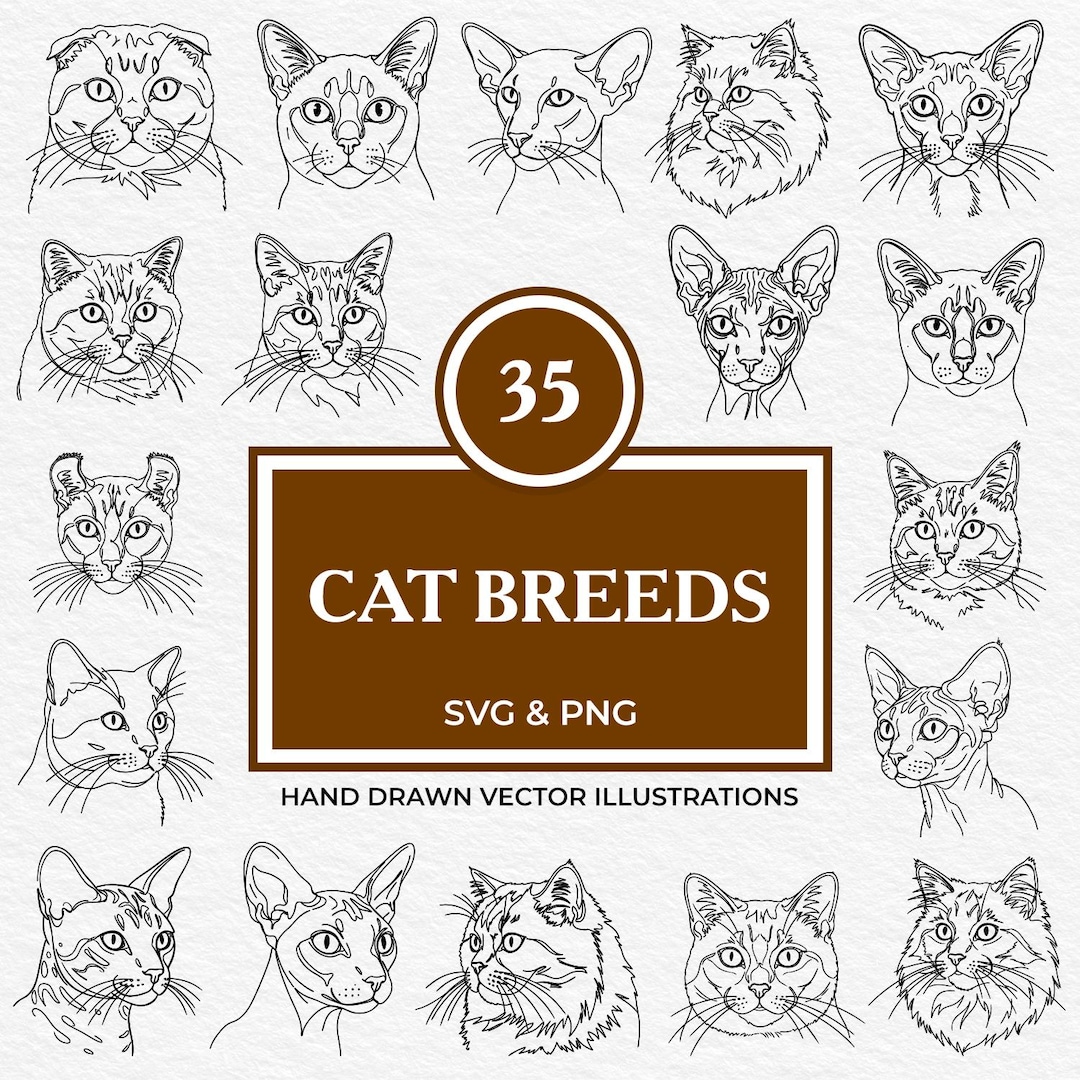 35 Cat Breeds SVG & PNG Bundle | Hand Drawn Clipart Set With Maine Coon ...