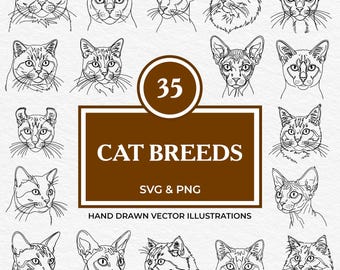 35 Cat Breeds SVG & PNG Bundle | Hand Drawn Clipart Set with Maine Coon, Sphynx, Siamese, Bengal, British Shorthair, Abyssinian and More