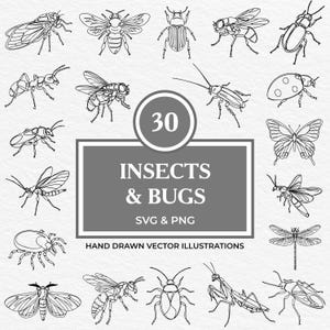May include: A set of 30 hand-drawn vector illustrations of insects and bugs. The illustrations are in black and white and feature a variety of insects, including butterflies, beetles, ants, and flies. The text "30 INSECTS & BUGS SVG & PNG HAND DRAWN VECTOR ILLUSTRATIONS" is displayed in the centre of the image.