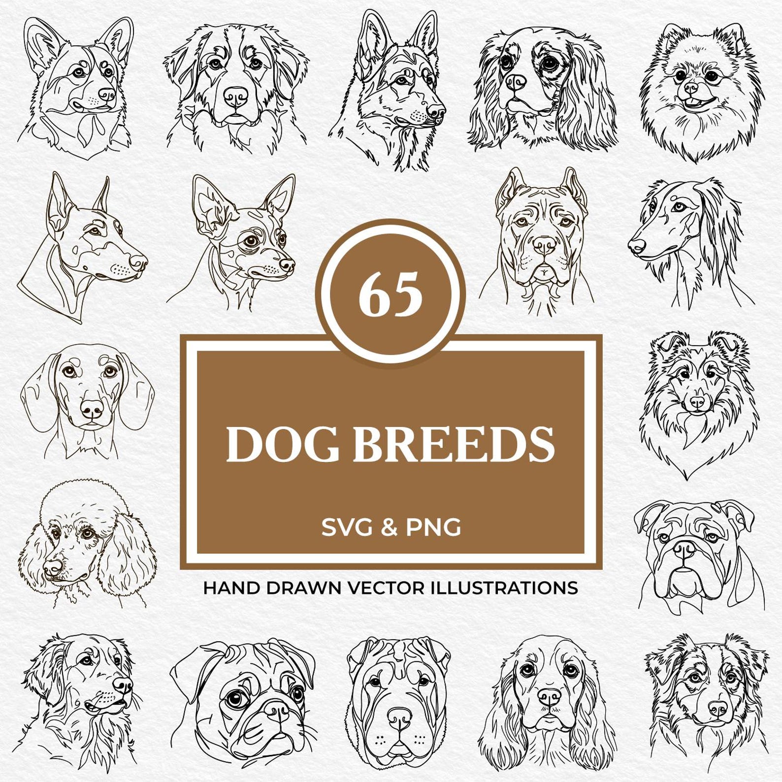 65 Dog Breeds SVG & PNG Bundle | Hand Drawn Line Art Clipart of Popular ...