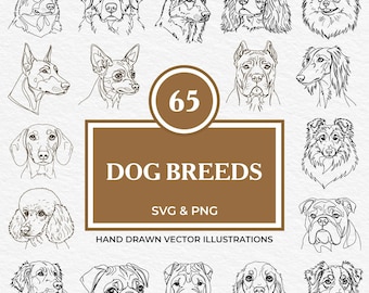 65 Dog Breeds SVG & PNG Bundle | Hand Drawn Line Art Clipart of Popular Puppy Faces, Purebred Canine Portraits and Dog Head Illustrations