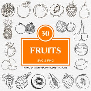 Pacote com 30 Frutas SVG PNG | Conjunto de Cliparts de Frutas Cítricas, Tropicais, Exóticas e de Verão Desenhados à Mão para Embalagens, Logotipos, Adesivos e Projetos Cricut