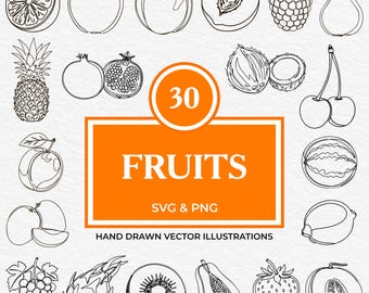 30 Fruit SVG PNG Bundle | Hand Drawn Citrus, Tropical, Exotic & Summer Fruits Clipart Set for Packaging, Logos, Stickers And Cricut Projects