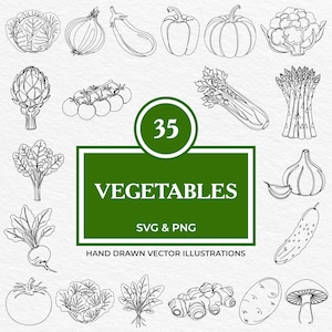 35 Légumes SVG PNG | Dessin au trait Légumes du jardin botanique | Clipart d'aliments biologiques pour emballages, étiquettes, autocollants et utilisation Cricut