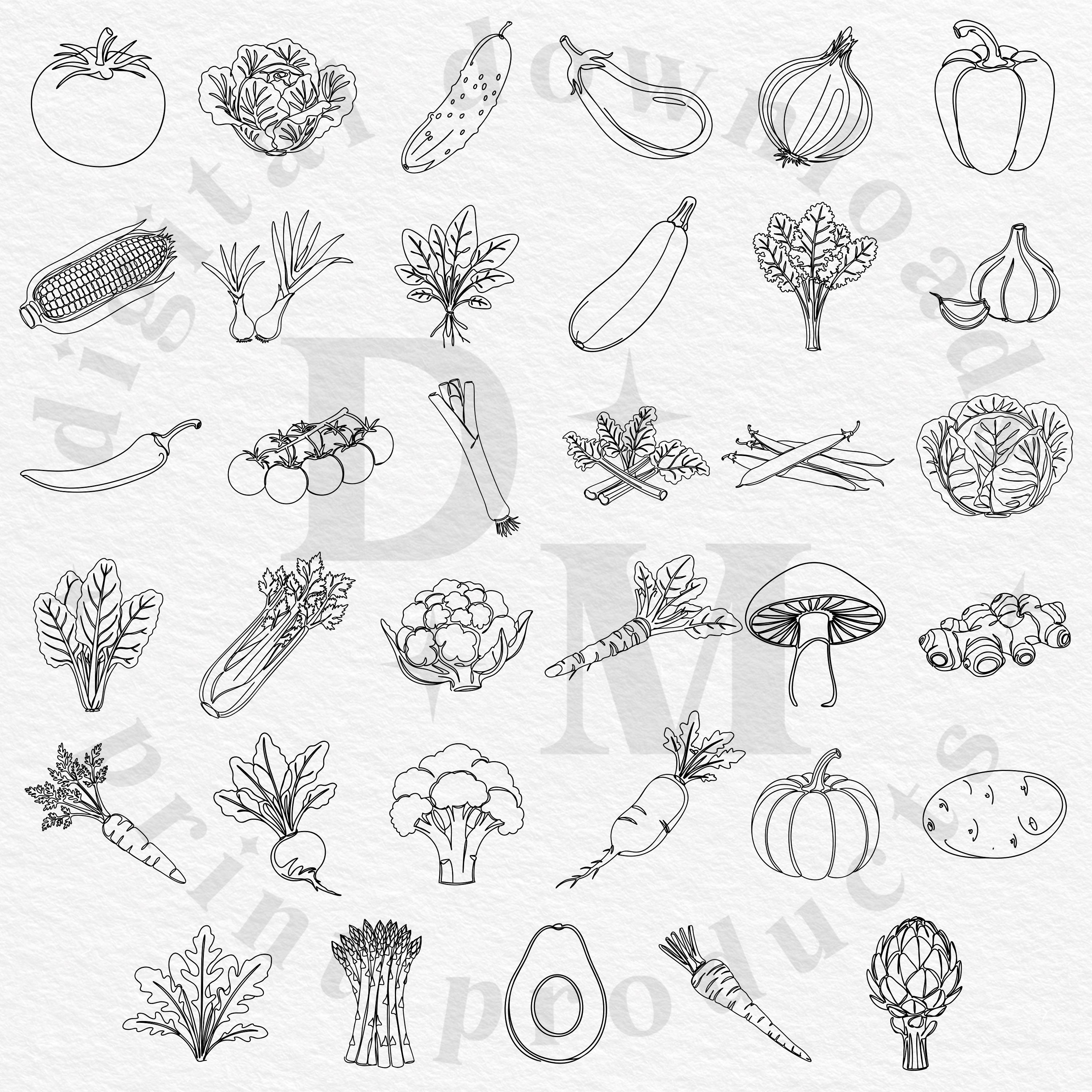 35 Vegetable SVG PNG Bundle | Botanical Garden Vegetables Line Art ...