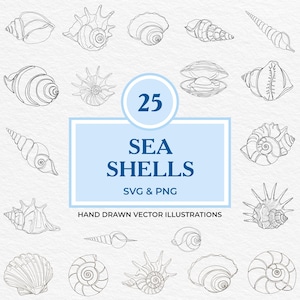 25 snäckskal SVG PNG-paket | Handritad kustsnäcka Clipart | Nautisk strandlinjeteckning för sommardekor, klistermärken, laser och Cricut