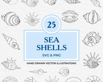 25 snäckskal SVG PNG-paket | Handritad kustsnäcka Clipart | Nautisk strandlinjeteckning för sommardekor, klistermärken, laser och Cricut