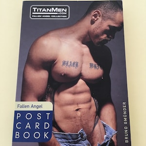 Bruno Gmunder Postkartenbuch vintage Gay Art Foto Nr. 41 Titan Media Fallen Angel
