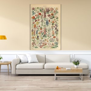 Adolphe Millot Ready to Hang Botanical Prints, Vintage Gallery Wall Art, Botanical Plant Poster, Adolphe Millot Nature, Bundle Larousse Art