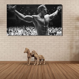 Arnold Schwarzenegger Rugs Poster, Body Building Wall Hanging, Tapestry Bodybuilding workout fitness, Arnold Schwarzenegger Ready To Hang