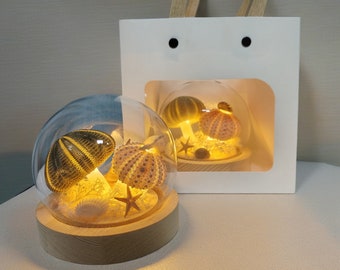 Sea Urchin Shell Night Light, String Light Bedroom Decoration Night Light with Starfish Shell Decoration, Gift Packaging