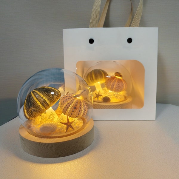 Sea Urchin Shell Night Light, String Light Bedroom Decoration Night Light with Starfish Shell Decoration, Gift Packaging