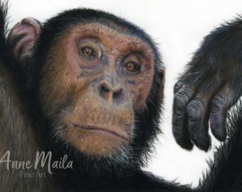 Handgetekend portret van een chimpansee