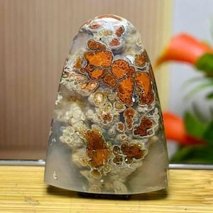 Opalized petrified wood ll Red plume Agate Scenic size 31x19x5 mm
