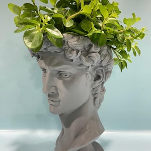 May include: A grey plaster bust planter with a green plant growing out of the top. The bust is of a man with a sculpted hairstyle and a serious expression. The planter is on a light blue surface.