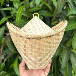 Peut inclure: Un panier vapeur à riz en bambou tressé avec un couvercle conique et une poignée jaune. Le panier a une forme évasée et est fait de fines lanières de bambou brun clair tissées en forme de panier. Le fond est un feuillage vert flou.