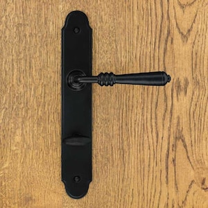 Peut inclure: Une poignée de porte noire mate comprenant une longue plaque arrière rectangulaire aux extrémités arrondies et deux vis de montage visibles. La poignée horizontale présente une section striée et une extrémité effilée.