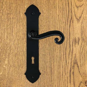 Peut inclure: Une poignée de porte noire mate composée d'une longue plaque arrière rectangulaire verticale aux extrémités pointues avec deux trous de vis. La poignée présente un design incurvé en forme de volute s'étendant horizontalement.