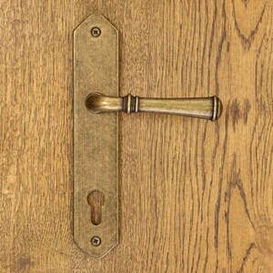 Peut inclure: Une poignée de porte en métal couleur laiton avec une plaque arrière rectangulaire longue aux extrémités pointues, une poignée horizontale et une découpe pour serrure. La quincaillerie est fixée par deux vis visibles en haut et en bas.