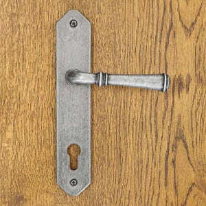 Peut inclure: Une poignée de porte en métal argenté avec une longue plaque rectangulaire aux extrémités pointues. La poignée est dotée d'un levier horizontal avec des détails nervurés. La plaque comprend une serrure et deux vis visibles en haut et en bas.