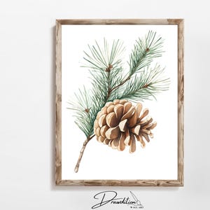 Può includere: Dipinto ad acquerello incorniciato di una pigna e aghi di pino. La pigna è marrone e gli aghi sono verdi. L'opera è firmata "Drawdition Wall Art".