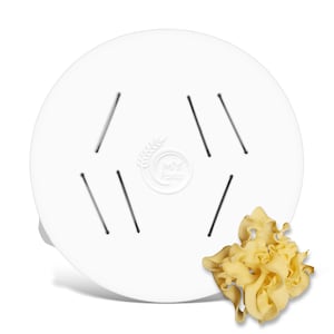 以下が含まれることがあります： 小麦の穂のデザインが施された「My Pasta」というロゴと6つのスロットが付いた白いセラミック製パスタ乾燥ラック。手前に、新鮮な黄色のパスタの山がある。