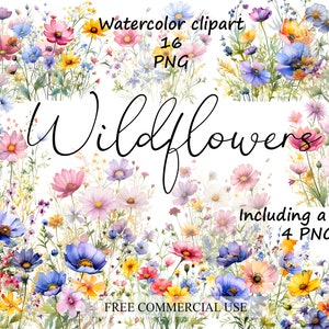 Wildflower meadow clipart, Summer floral nature images, Wild flowers png for print, collage, scrapbook, junk journal etc Free commercial use