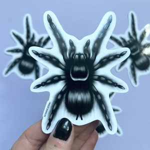 Gothic Spinne Aufkleber | Tattoo inspirierte Gothic Aufkleber