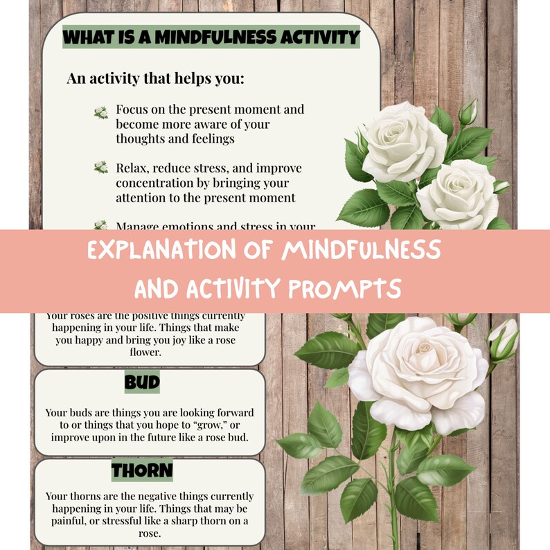 Rose Bud Thorn Mindfulness Activity for Google Slides SEL Etsy